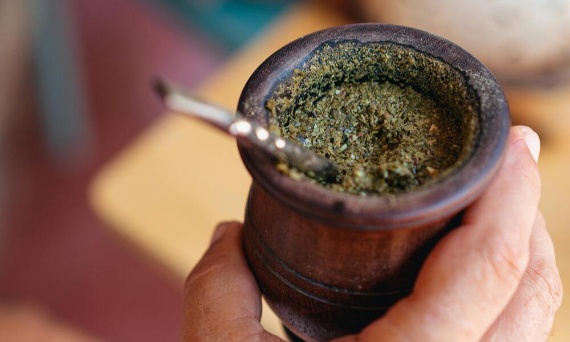 Dlaczego warto pić yerba mate? Właściwości, działanie i ciekawostki