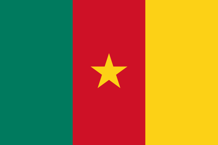 kamerun flaga